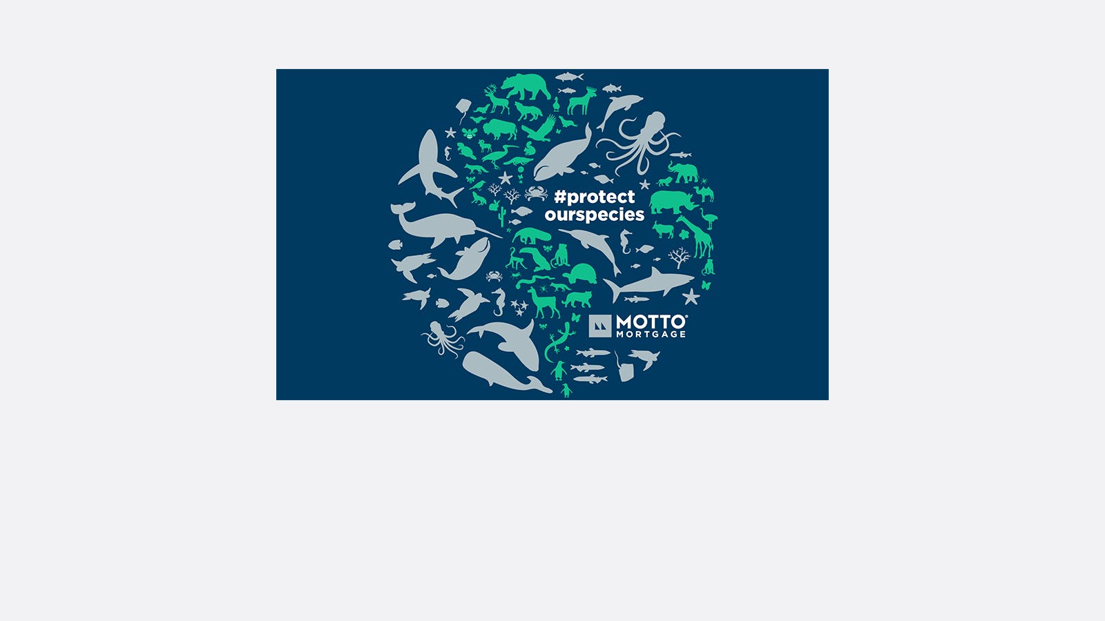 A blue circular graphic features various animal silhouettes, including whales, birds, and elephants, with the text #protect ourspecies and the Motto Mortgage logo in the center.