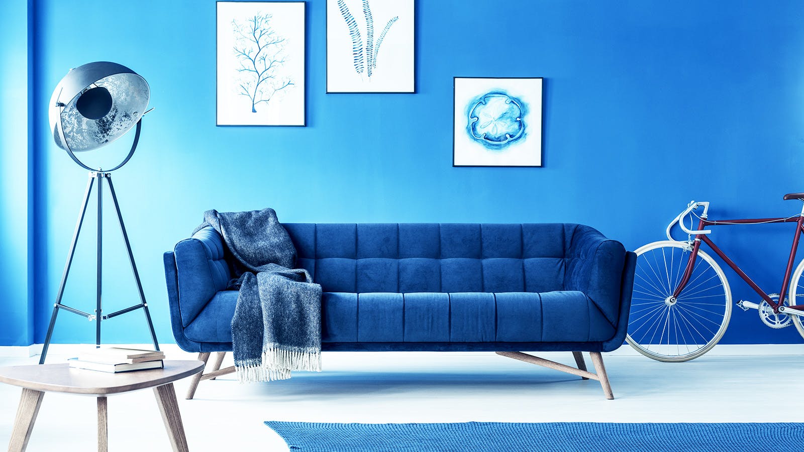 A modern living room with a blue velvet sofa, gray throw blanket, retro floor lamp, framed artwork on a blue wall, a bicycle, and a small table with stacked books. The decor is minimalist and stylish.