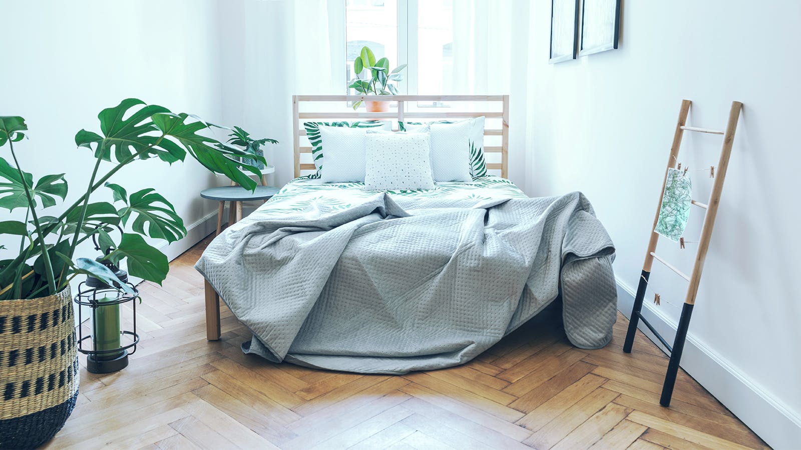 plant subscription service