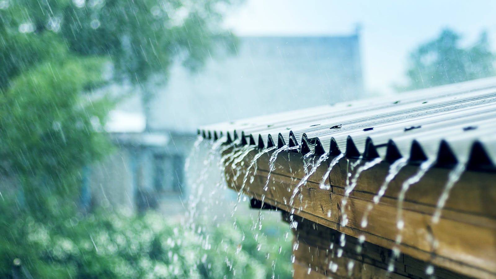 how to prevent water damage