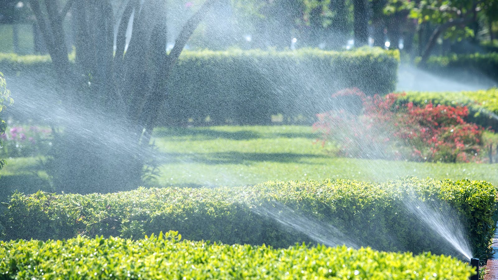 Blowout Your Sprinkler System