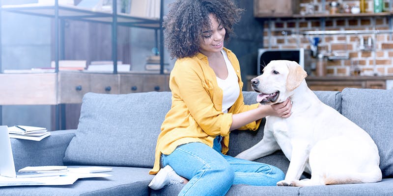 Woman sitting on couch with dog thinking about pet decor ideas