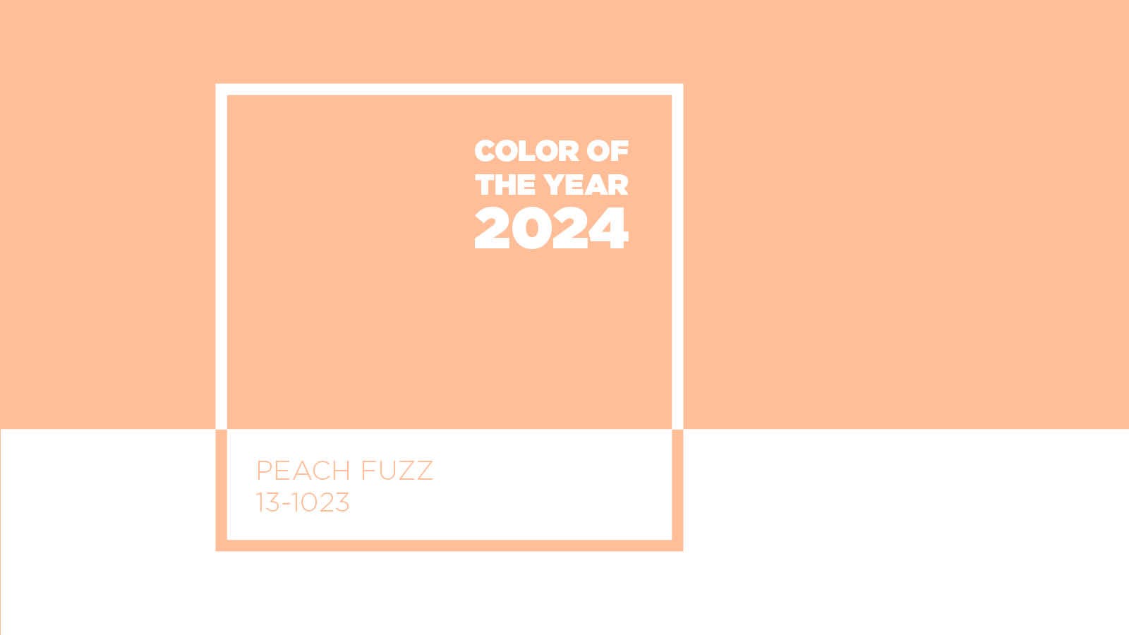 An image of the pantone color of the year 2024 shown as a color card of peach fuzz.