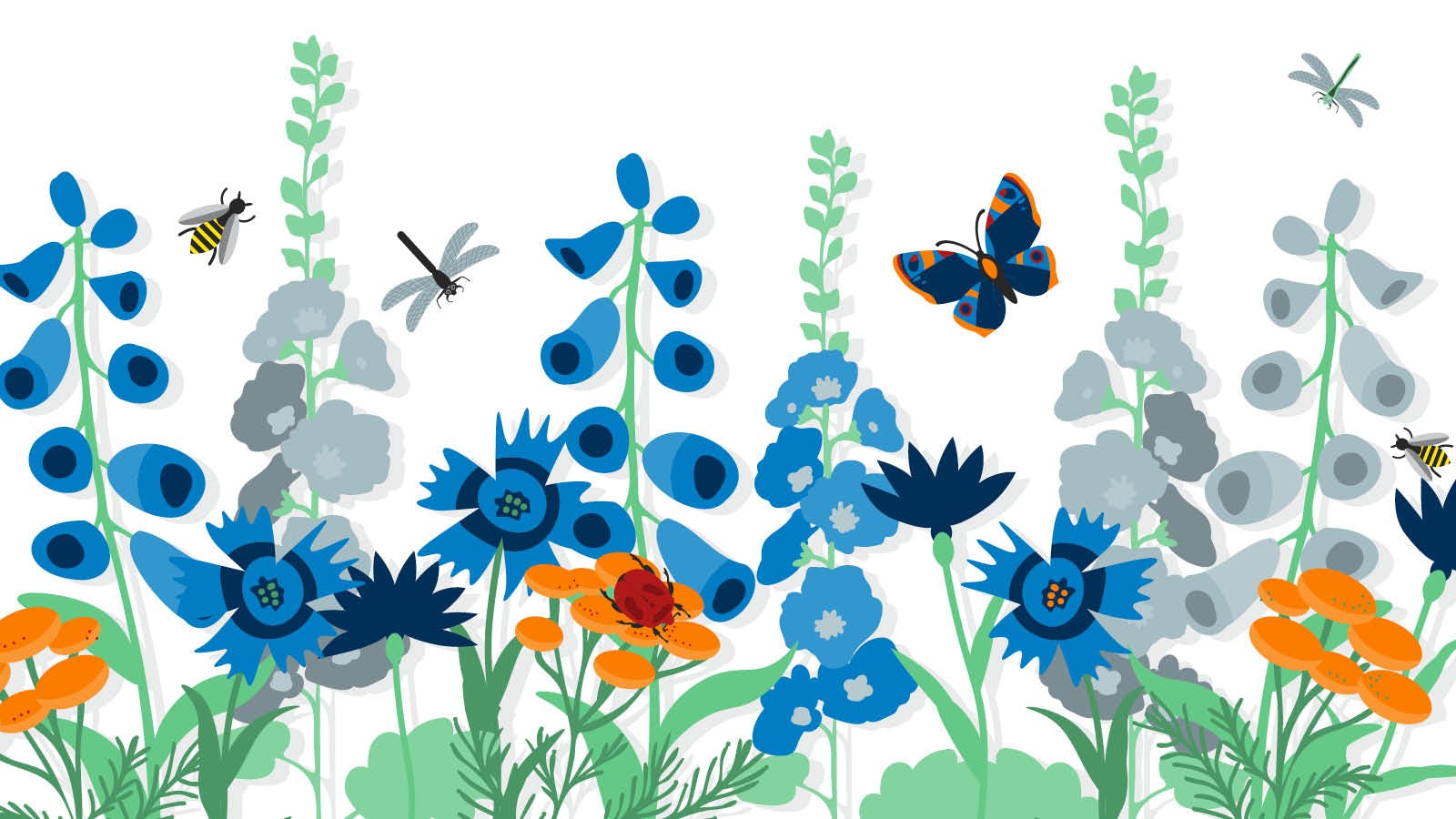 Illustration of a pollinator garden, with flowers, bees, and butterflies.