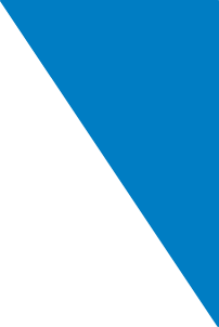 Vector A simple geometric image with a diagonal division; the left side is light gray and the right side is blue, forming a bold, clean contrast between the two colors.